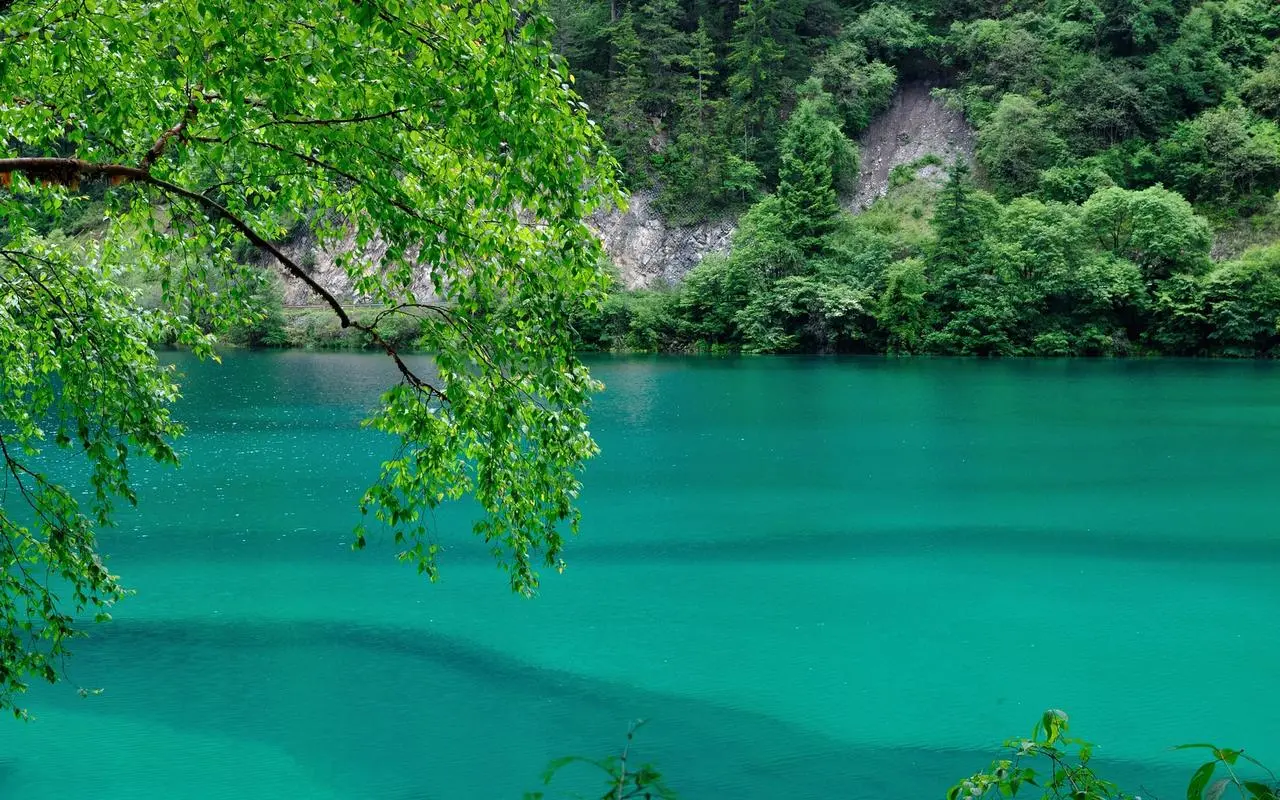 高标准先进节能